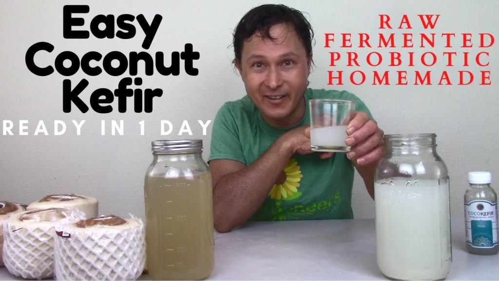 How to Make Raw Coconut Kefir in 1 Day Fermented Probiotic Drink