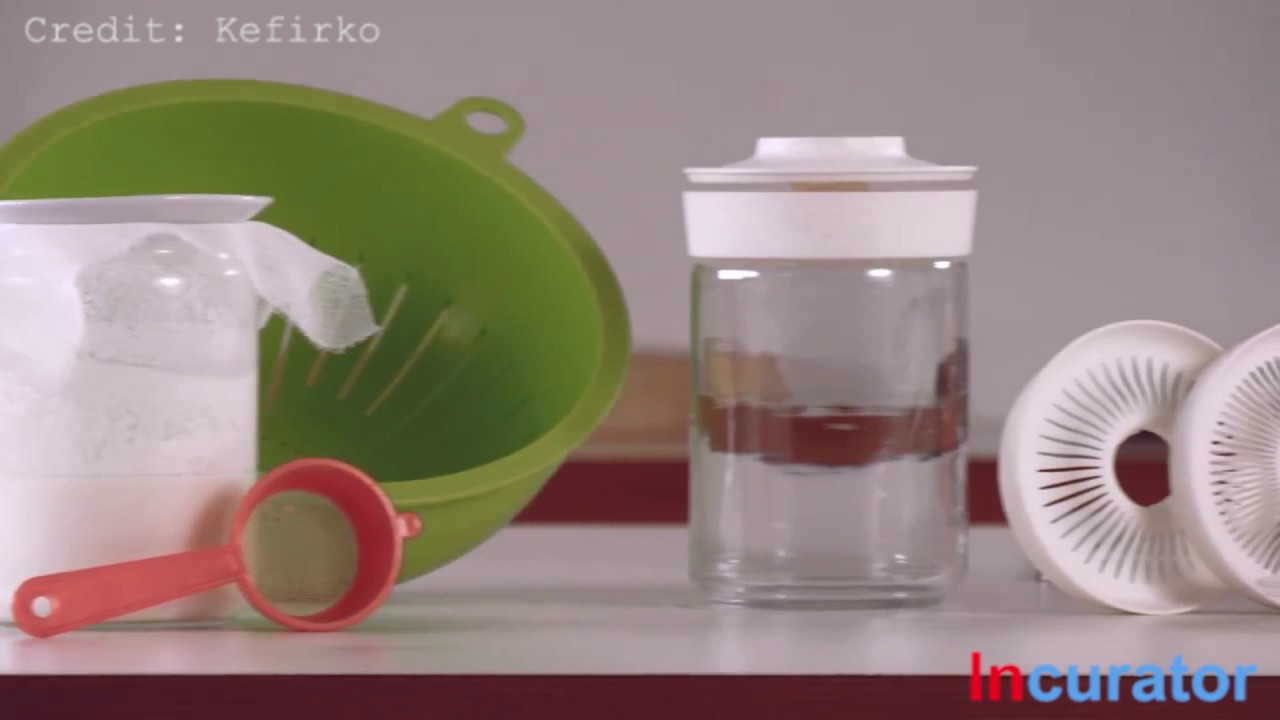 Kefirko - Milk Kefir and Water Kefir Making Kit | Incurator.com