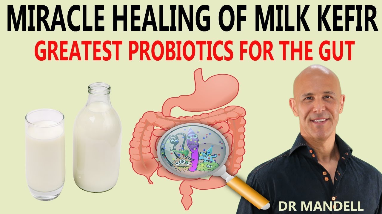 MIRACLE HEALING OF MILK KEFIR...GREATEST PROBIOTICS FOR THE GUT - Dr Alan Mandell, DC