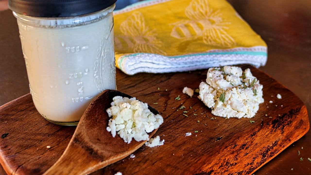 Making Kefir Yogurt & Kefir Cheese at Home | Fermented Food of Many Uses