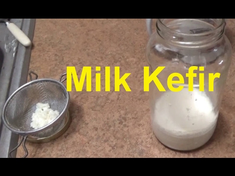 Milk Kefir ~ How To Use It ~ Healthy Organic Probiotic Milk Drink