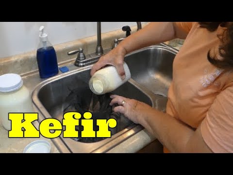 The Fastest Easiest Way to Strain Kefir Grains | Less Time | Fewer Dirty Dishes